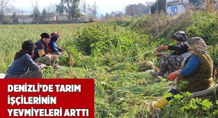 Denizli’de tarım işçilerinin günlük ücretleri arttı