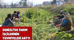 Denizli’de tarım işçilerinin günlük ücretleri arttı