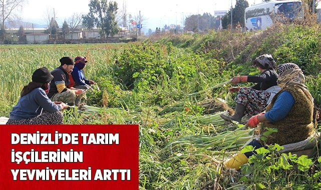 Denizli’de tarım işçilerinin günlük ücretleri arttı