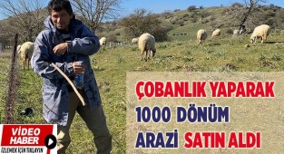 Koyun güderek 1000 dönüm arazi satın aldı