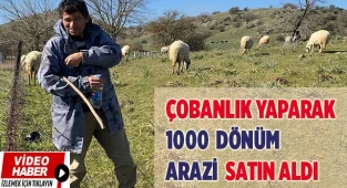 Koyun güderek 1000 dönüm arazi satın aldı