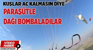 Kuşlar aç kalmasın diye paraşütle dağı bombaladılar