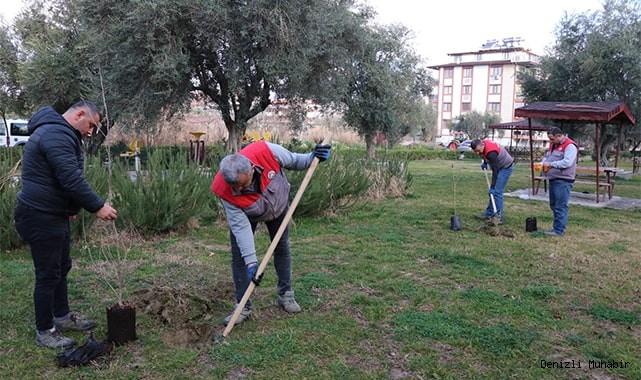 Sarayköy Belediyesi ağaçlandırmayı sürdürüyor