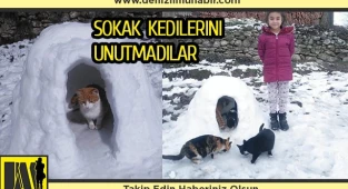 Sokak kedileri için kardan ev yaptılar