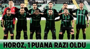 Denizlispor: 2 - Eyüpspor: 2