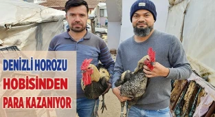Yumurtasının tanesi 50 lira