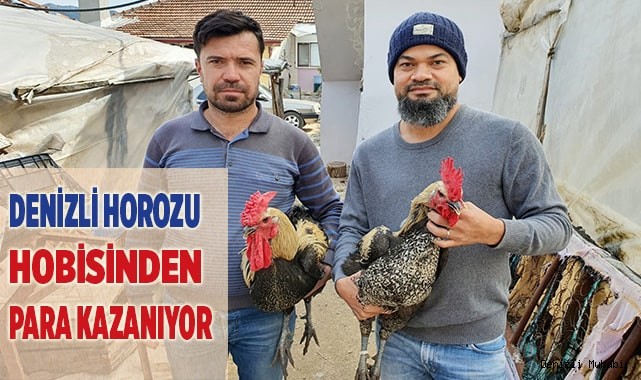 Yumurtasının tanesi 50 lira