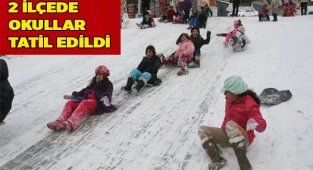 2 ilçede okullar tatil edildi