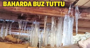 Bahar ayında buz tuttu