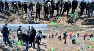 Buldan protokolü, Orman Haftası’nda fidan dikti