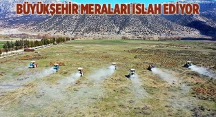 Büyükşehir meraları ıslah ediyor
