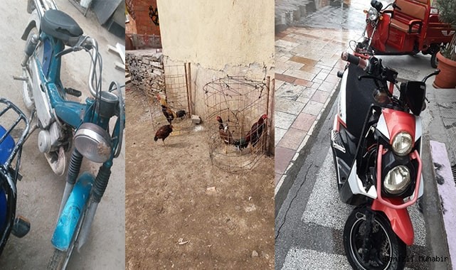 Çaldıkları hayvanları satamadan yakalandılar