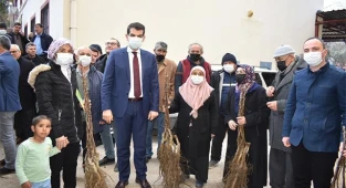 Ceviz üretim alanlarını 2 katına çıkaracak projede fidan dağıtımları tamamlandı