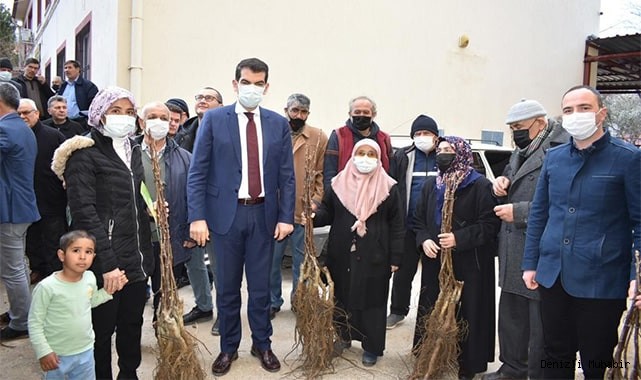 Ceviz üretim alanlarını 2 katına çıkaracak projede fidan dağıtımları tamamlandı