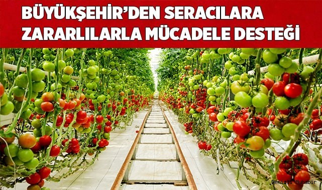 Denizlili çiftçiler üretiyor, Büyükşehir destekliyor