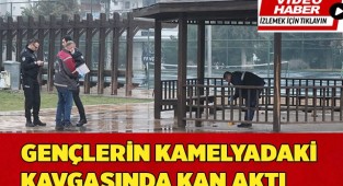 Gençlerin kamelyadaki kavgasında kan aktı