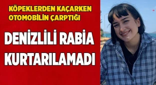 Köpeklerden kaçarken otomobilin çarptığı Rabia yaşama tutunamadı