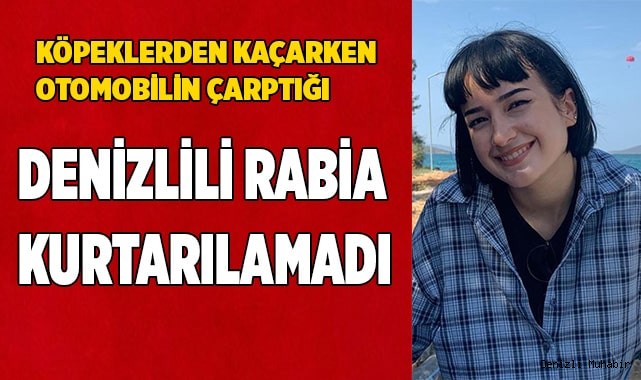 Köpeklerden kaçarken otomobilin çarptığı Rabia yaşama tutunamadı