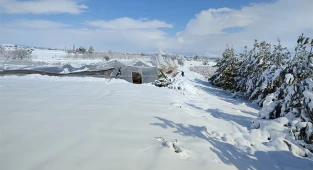 Meteorolojiden zirai don uyarısı