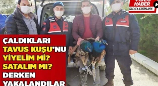 Şaka gibi hırsızlık şebekesi