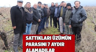 Sattıkları üzümün parasını 7 aydır alamadılar