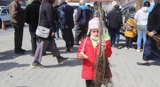 Vatandaşlara 9 bin adet aşılı ceviz fidanı dağıtıldı