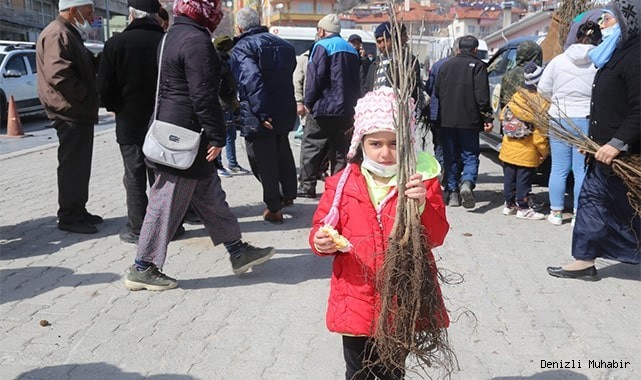 Vatandaşlara 9 bin adet aşılı ceviz fidanı dağıtıldı