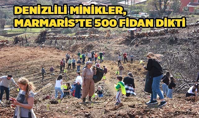 Yanan alana fidan diktiler