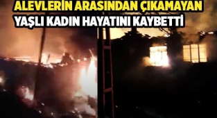 2 evin kül olduğu alevlerin arasından çıkamayan yaşlı kadın hayatını kaybetti