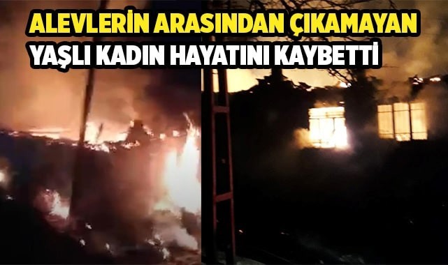 2 evin kül olduğu alevlerin arasından çıkamayan yaşlı kadın hayatını kaybetti