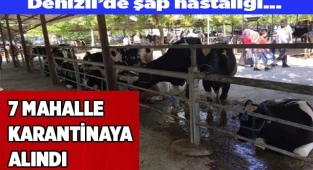 7 mahalle karantinaya alındı