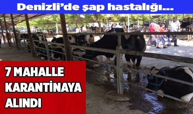 7 mahalle karantinaya alındı