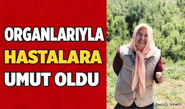 Beyin ölümü gerçekleşen hastanın organları umut oldu