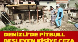 Denizli’de pitbull besleyen kişiye ceza