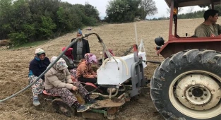 Denizli’de yılın ilk adaçayı fideleri toprakla buluştu