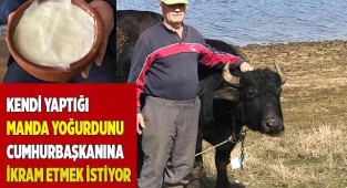 Elleriyle yaptığı doğal manda yoğurdunu Cumhurbaşkanı Erdoğan'a ikram etmek istiyor