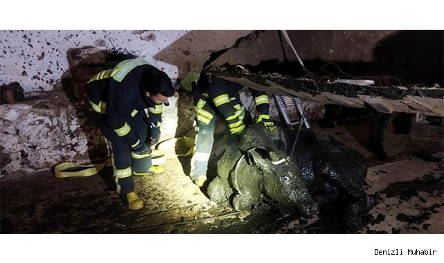 Foseptik çukuruna düşen büyükbaş hayvanı itfaiye kurtardı
