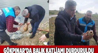 Gökpınar’da balık katliamı durduruldu