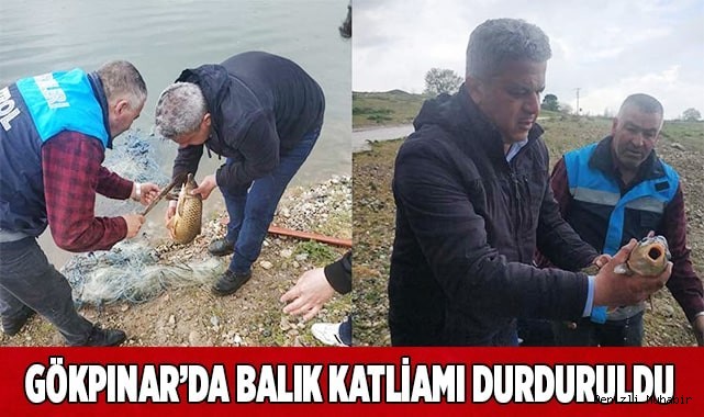 Gökpınar’da balık katliamı durduruldu