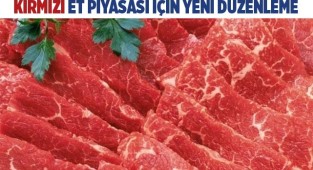 Kırmızı et piyasası için yeni düzenleme