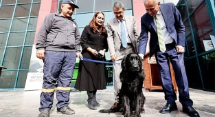 Sokak Hayvanları Günü’nde anlamlı protokol
