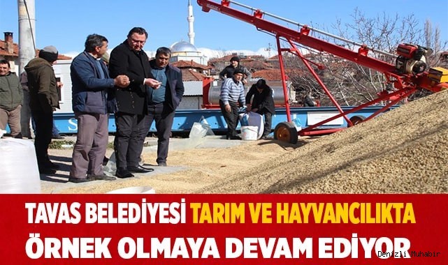 TAVAS BELEDİYESİ TARIM ve HAYVANCILIKTA ÖRNEK OLMAYA DEVAM EDİYOR