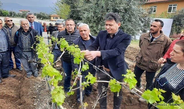 Üzüm üreticilerine büyük destek