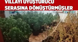 Villayı uyuşturucu serasına dönüştürdüler