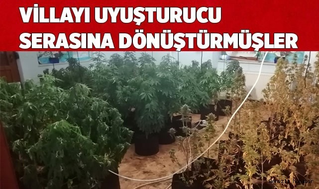 Villayı uyuşturucu serasına dönüştürdüler
