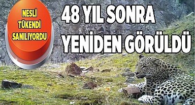 Avcılara vurmayın çağrısı