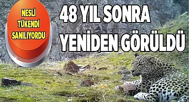 Avcılara vurmayın çağrısı