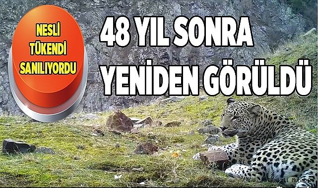Avcılara vurmayın çağrısı