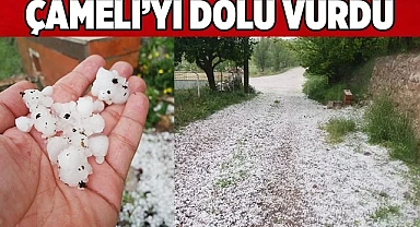 ÇAMELİ’Yİ DOLU VURDU