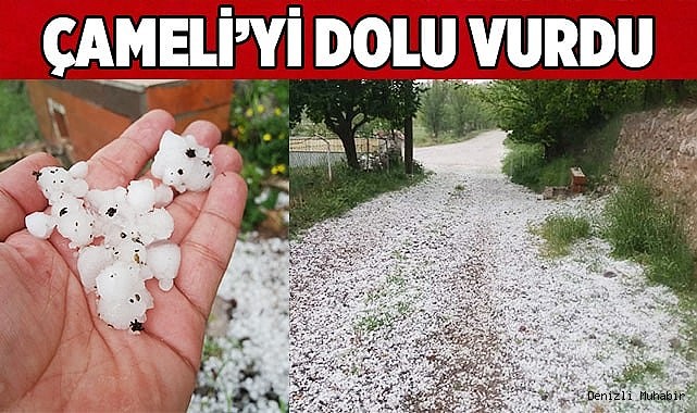 ÇAMELİ’Yİ DOLU VURDU